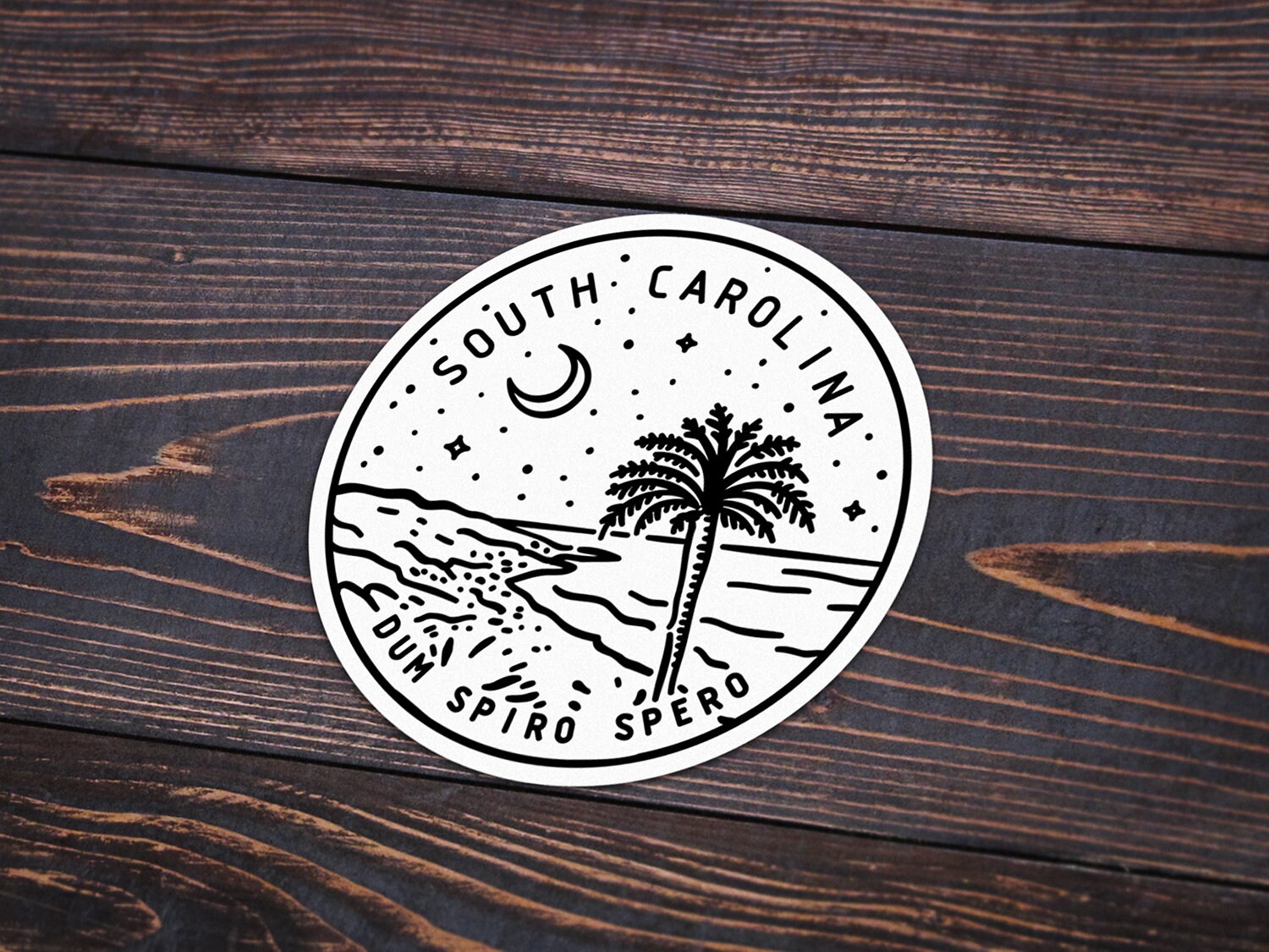 South Carolina Gamecocks Die-Cut Decal Sheet – 5x7 Vinyl Sticker Set – WinCraft NCAA