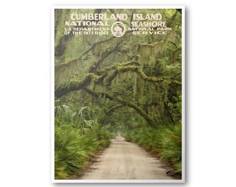 Cumberland Island National Seashore Poster | National Park Poster | National Park Print | Vintage Poster | Wall Art | Home Decor