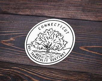 Connecticut Sticker | Connecticut Decal | Multiple Sizes | Bumper Sticker | Water Bottle | Travel | Laptop | Waterproof