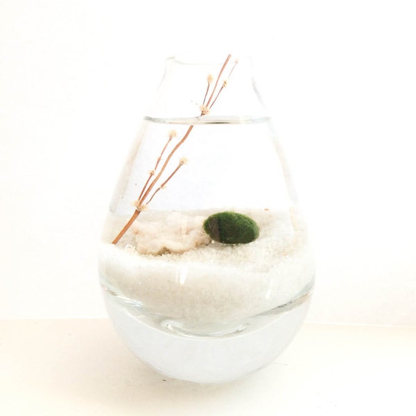 Marimo Moss Ball Modern Aqua Terrarium / Coastal Decor / Teardrop Vase / Housewarming Gift / Teacher's Gift