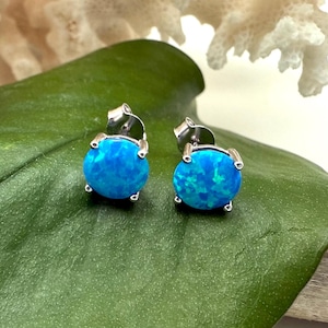 May include: A pair of round, blue opal stud earrings with silver-colored settings. The earrings are set on a large green leaf, with a white coral-like object in the background. The opal stones have a mix of blue and green hues.