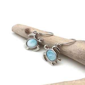 Puede incluir: Un par de pendientes de plata con un dije de tortuga marina azul y blanco. Los pendientes están colgados de un trozo de madera a la deriva.