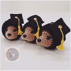 SWC Mini Hedgehog/Graduation Hedgehog Crochet pattern ONLY - Amigurumi PDF Instant download