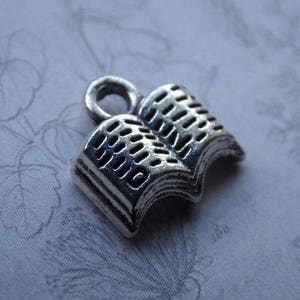 Puede incluir: Encanto de plata en forma de libro abierto con un dise&ntilde;o detallado. El encanto tiene un bucle en la parte superior para sujetarlo a un collar o pulsera.