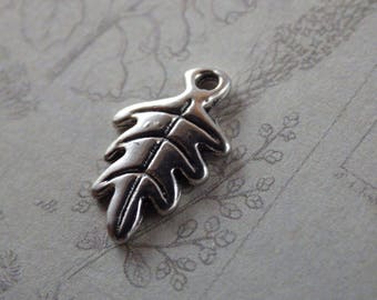 10x Nature Pagan Wiccan Charms Pendants, Silver Earring Bracelet