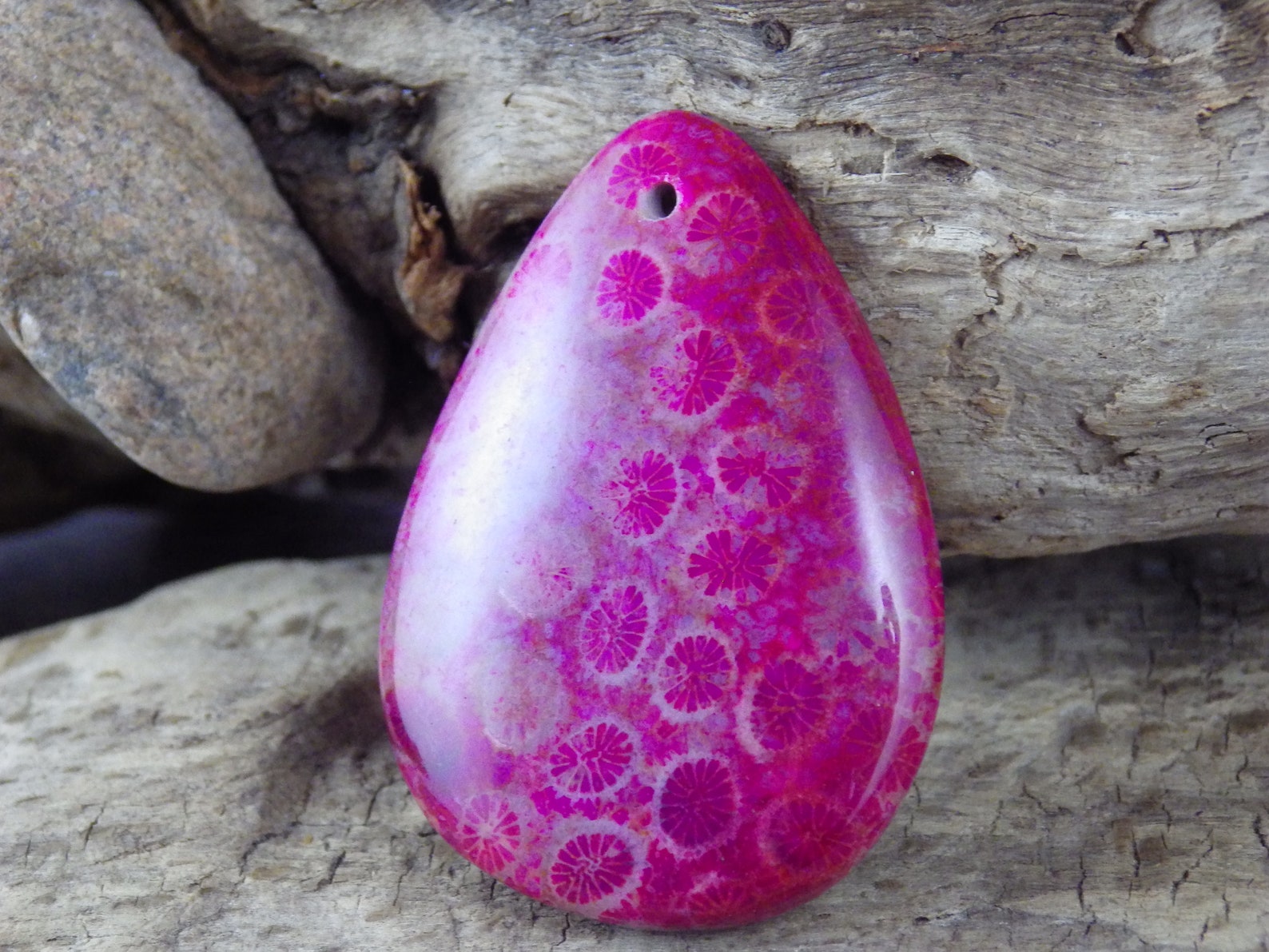 Fossil Coral Jasper Pendant 45x32mm Semi Precious Gemstone Etsy