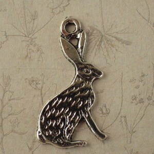 Pack Of 10 Pagan Goddess Charms - Bronze Or Silver Tone, 33mm, For Jewelry & Wicca