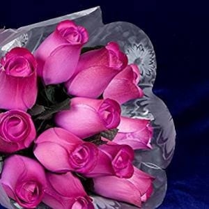 Two Tone Pink Burgundy Wood Rose Bouquet &quot;Baker&#39;s Dozen&quot; of 13 Roses in Sleeve Tied With Ribbon