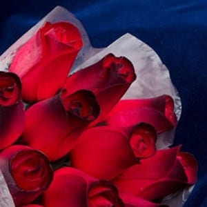 Red Roses Wood Bouquet &quot;Baker&#39;s Dozen&quot; of 13 Roses in Sleeve Tied With Ribbon