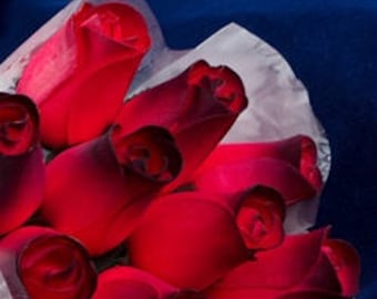 Red Roses Wood Bouquet "Baker's Dozen" of 13 Roses in Sleeve Tied With Ribbon