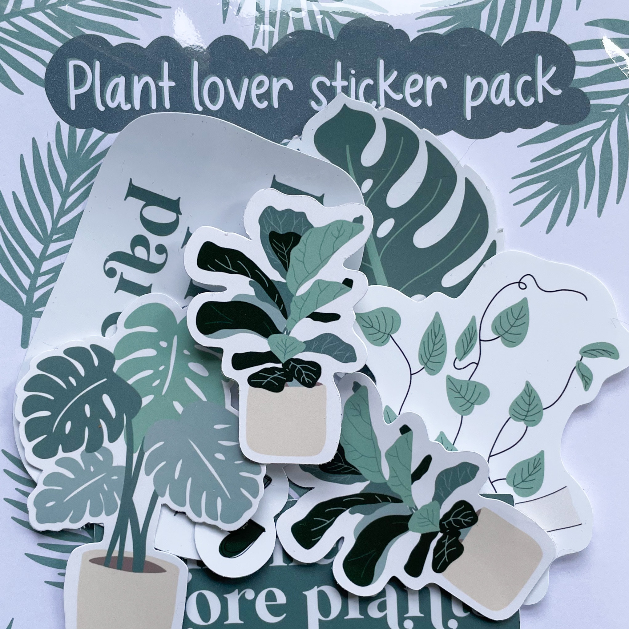 Willkommen, liebe Pflanzenliebhaber! 🌿
