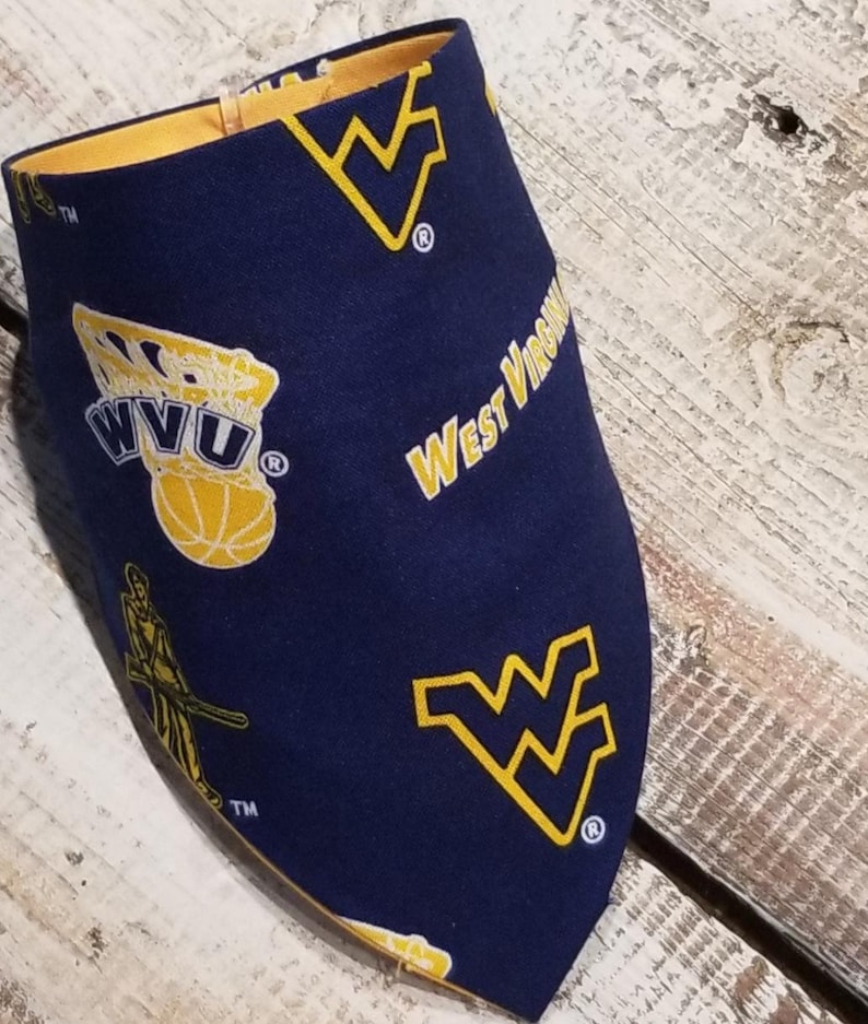 West Virginia dog cooling bandana