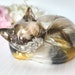 see more listings in the Pet/Horse Keepsakes section