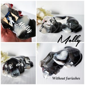 Custom Dog Statue with Your Dog's Fur and/or Ashes ears down image 10