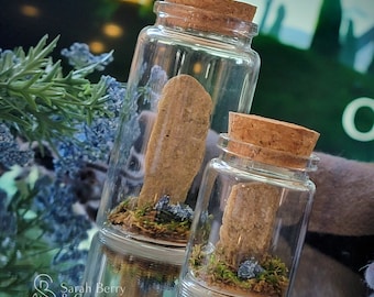 Outlander Gifts Time Travel in a Bottle Standing Stones Craigh Na Dun Sassenach Merch Outlander Books Jamie Fraser Scotland Forget-Me-Nots