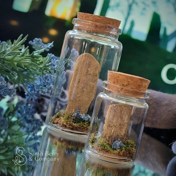Time Travel in a Bottle - Outlander Gift - Claire Fraser - Jamie Fraser- Outlander Books - Standing Stones- Scotland Souvenirs- Sarah Berry