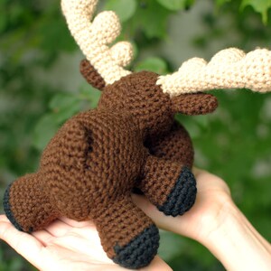 Moose ,Baby Moose, Custom, Baby Moose, Crochet Moose, Elbert the Moose image 2