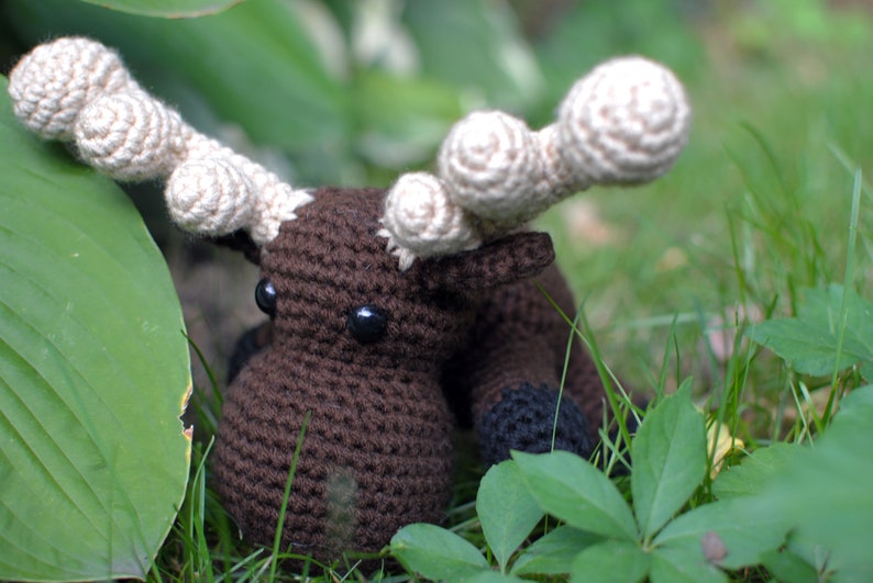 Moose ,Baby Moose, Custom, Baby Moose, Crochet Moose, Elbert the Moose image 3