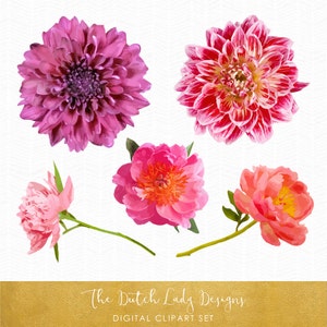 Dahlia & Peony Clipart - Real Style - Fleurs - Floral Clipart - Dahlias - Pivoines - Utilisation commerciale autorisée - TÉLÉCHARGEMENT INSTANTANÉ - fichiers .PNG