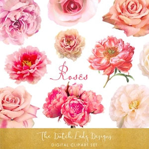 Rosen & Pfingstrosen Clipart Set - Echte Stil - Blumen Clipart - Kommerzielle Nutzung erlaubt - INSTANT DOWNLOAD - 20 .PNG Bilder