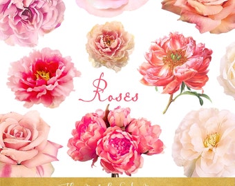 Roses & Peonies Clipart Set - Real Style - Floral Clipart - Flower Graphics - Commercial Use Allowed - INSTANT DOWNLOAD - 20 .PNG Images