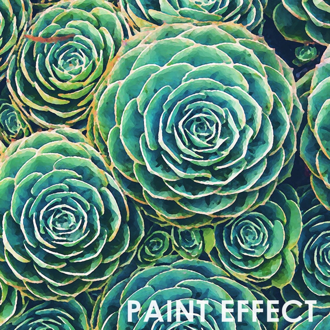 Digital Scrapbook Paper Paint Style Succulents Cactus | Etsy