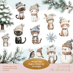 Ensemble de cliparts chats hiver, graphismes de Style illustration pour enfants, images aquarelles, oiseaux mignons, souris, neige, téléchargement immédiat, 30 fichiers PNG