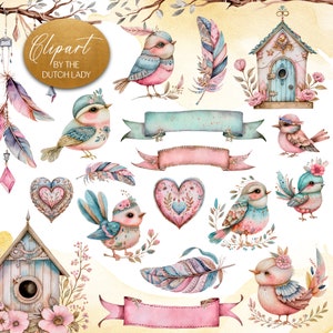 Ensemble de clipart oiseaux bohèmes - aquarelle printanier - plumes bohèmes & coeurs - à usage commercial - téléchargement immédiat - 25 fichiers PNG