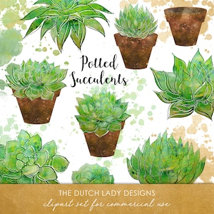 Suculento clipart Set - Potted Cactus Images - Indoor Greenery & Plant Graphics - Watercolor Ink Splats - DESCARGA INSTANTÁNEA - 22 .PNG Images