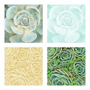Digital Scrapbook Paper - Paint Style Succulents - Cactus Backgrounds ...