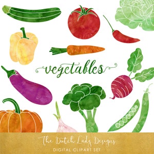 Ensemble de cliparts végétaux - Aquarelle Images végétariennes - Potager - Produire des graphiques - TÉLÉCHARGEMENT INSTANTANÉ - 25 .PNG Fichiers