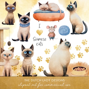 Ensemble de cliparts chats siamois - illustrations de Style livre de contes pour enfants - graphismes drôles de chat de bande dessinée - - TÉLÉCHARGEMENT IMMÉDIAT - 25 images numériques