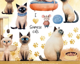 Siamese Cat Clipart: Storybook Cartoon Graphics (25 Digital Images) (Instant Download)