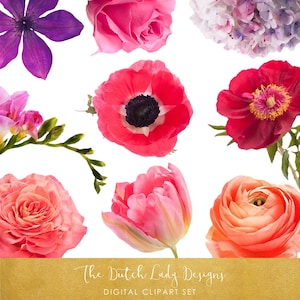 Clipart de fleurs mixtes - Style réel - Fleurs rouges - Graphiques floraux - Fleurs mélangées - Utilisation commerciale - TÉLÉCHARGEMENT INSTANTANÉ - 22 images .PNG