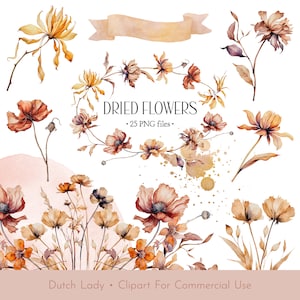 Aquarelle fleur séchée Clipart Set - Wild Botanical Field Flowers In Muted Color - Elegant Floral Wreaths - INSTANT DOWNLOAD - 25 PNG Files
