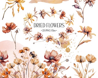 Watercolor Dried Flower Clipart Set - Wild Botanical Field Flowers In Muted Color - Elegant Floral Wreaths - INSTANT DOWNLOAD - 25 PNG Files