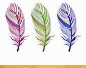 Feather Clipart in Various Colors - INSTANT DOWNLOAD - .PNG Files