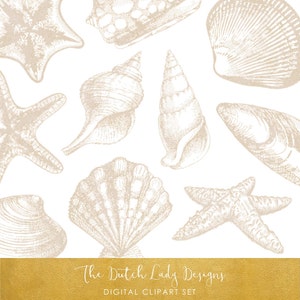 Sandy Seashell &Seastar Clipart Set - Strand - Schelpen - Zand - Oceaan - Zee - Commercieel gebruik toegestaan - INSTANT DOWNLOAD - 17 .PNG afbeeldingen