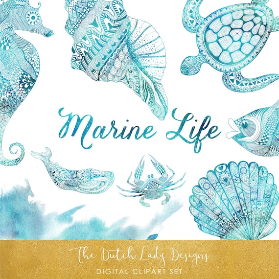 Watercolor Marine Life Clipart Set: Ocean Animals & Shells (Digital Download)