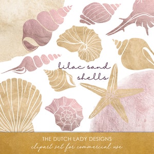 Seashell Clipart Set - Coquilles lilas - Textures de sable - Coquille brillante - Cercles d’aquarelle - Océan - Plage - TÉLÉCHARGEMENT INSTANTANÉ - 22 fichiers .PNG