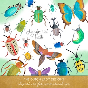 Insekte Clipart Set - Handgemalte Illustrationen - Käfer - Motte - Schmetterling - INSTANT DOWNLOAD - 23 .PNG Dateien