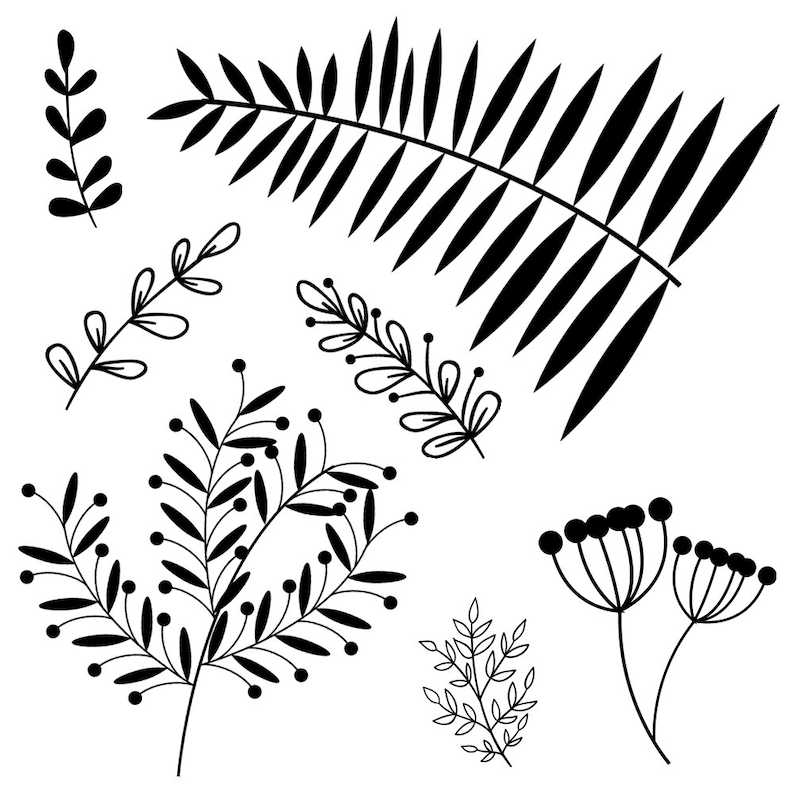 Black /& White Branch and Leaf Clipart Set 60 .PNG Files INSTANT DOWNLOAD Gold