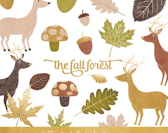 Fall Forest Clipart: Deer, Leaves, Mushrooms, Acorns (PNG Images - Digital Download)