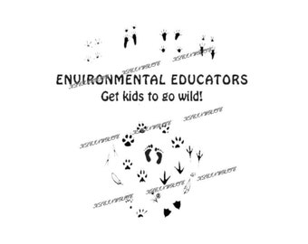 Environmental Educators Get Kids to Go Wild graphic