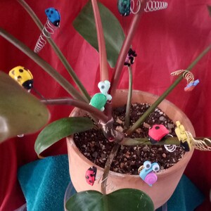 May include: A potted plant with multiple stems and green leaves.  There are several colorful ladybug and turtle figurines attached to the stems with springs.  The pot is brown and the plant is sitting on a blue surface.