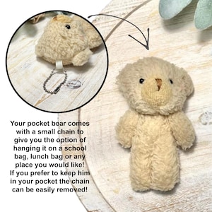 Memorial Bear for Loss of Brother, Pocket Hug, Loss of Sibling, Memory Bear, Kids Sympathy Gift, Bereavement Gift for Child image 6