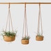 Allison Cherry reviewed Cork Hanging Planter
