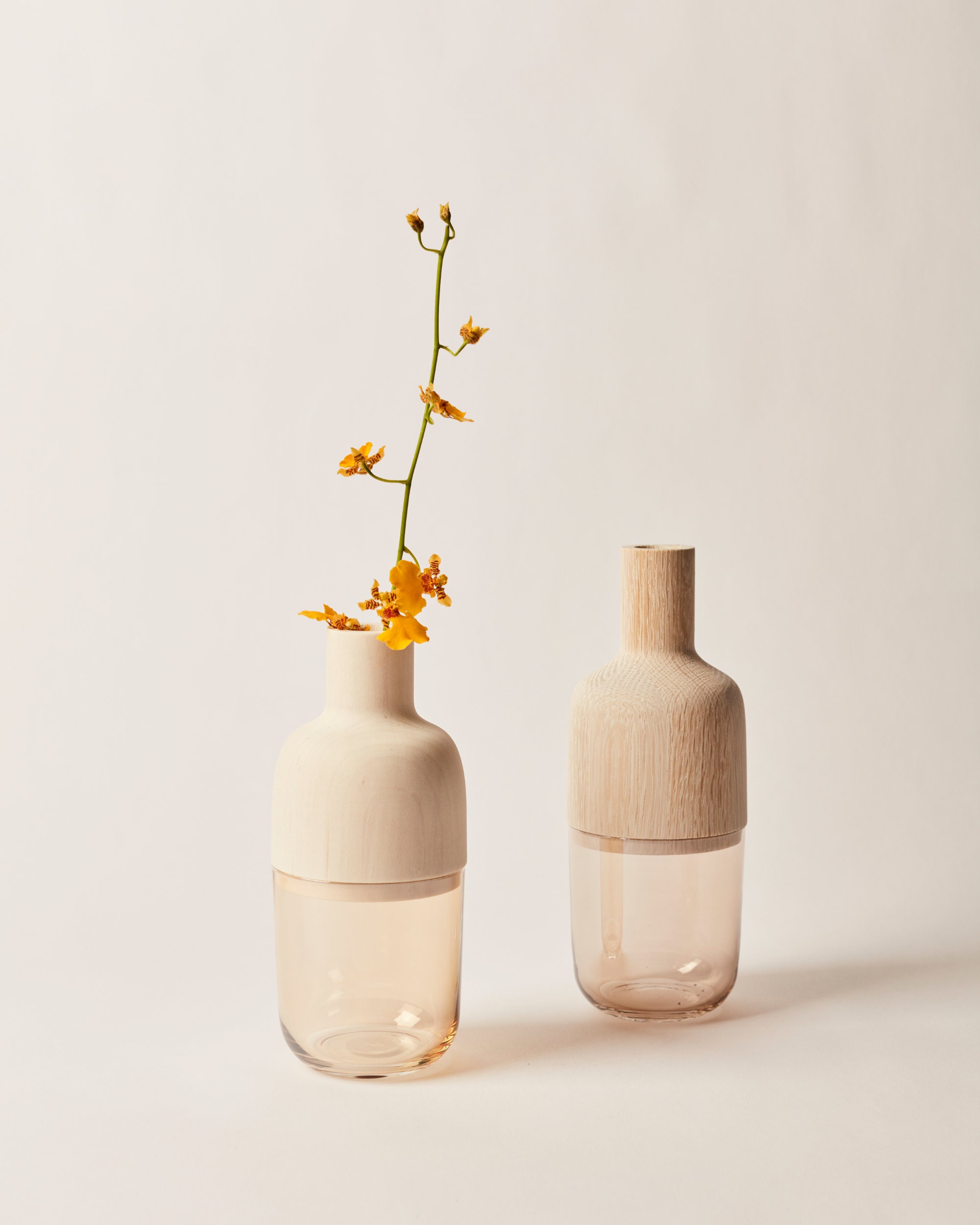 Collection Vase Marais | Bois Blanchi