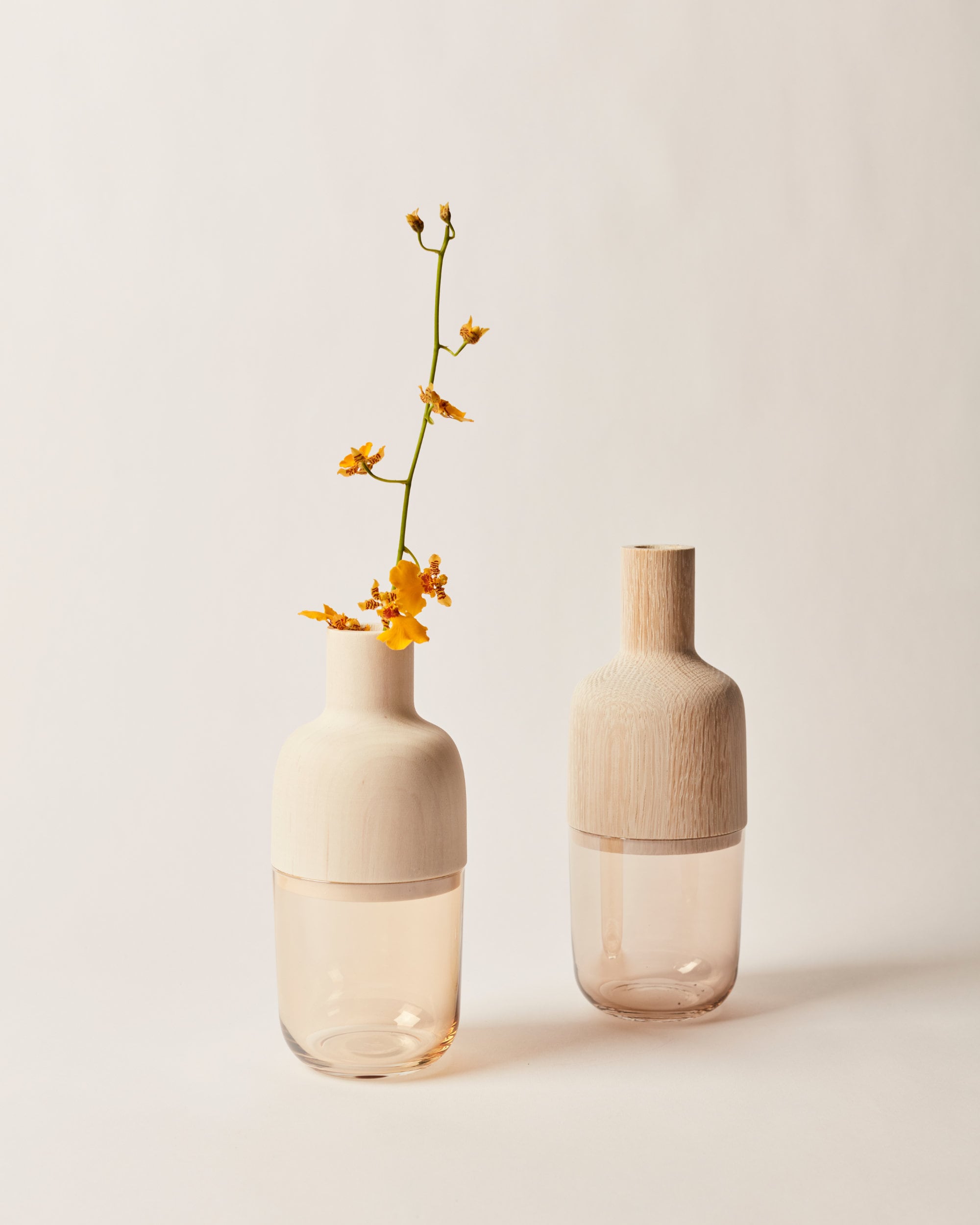 Collection Vase Marais | Bois Blanchi