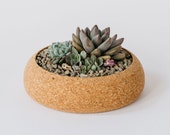 Cork Planter, Large